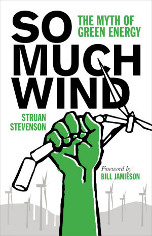 SO MUCH WIND - The Myth of Green Energy